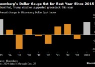 美元迈向九年来最佳年度表现 受美国经济和特朗普关税威胁支撑