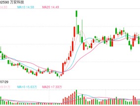 万安科技1.3亿收购大股东严重亏损资产 产能利用率长期低于50%"变租为购"原因成疑