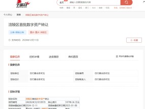 重庆涪陵回应1.08亿元“数字资产转让项目”被叫停：与国家一些文件相悖，转让标的含有公共数据